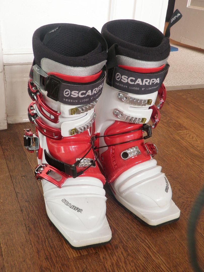 SCARPA T-RACE テレマークブーツ 75mm レーシング 直販販売品 - www 