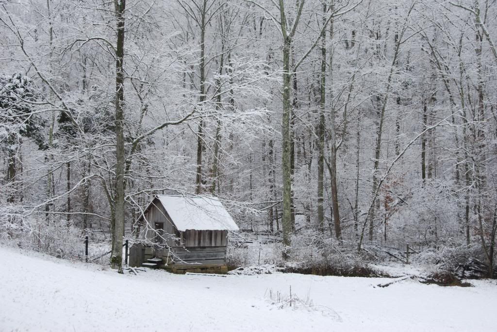 Spring water / cistern / pump - Homesteading Questions