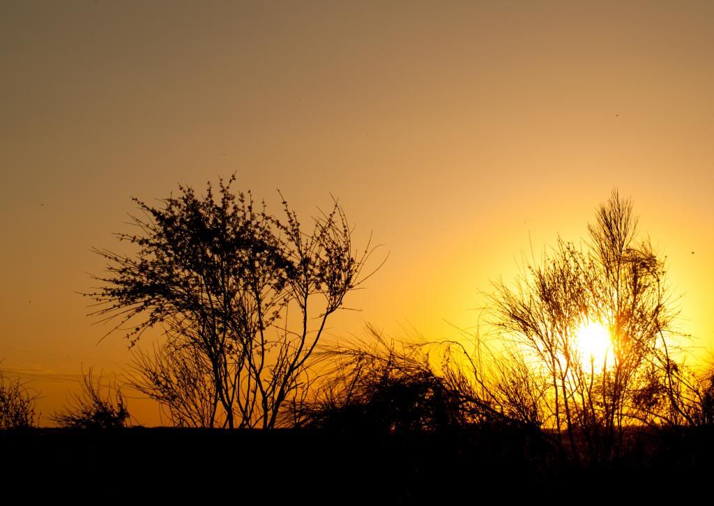 AtardecerenArrocampo_zps4126e016.jpg