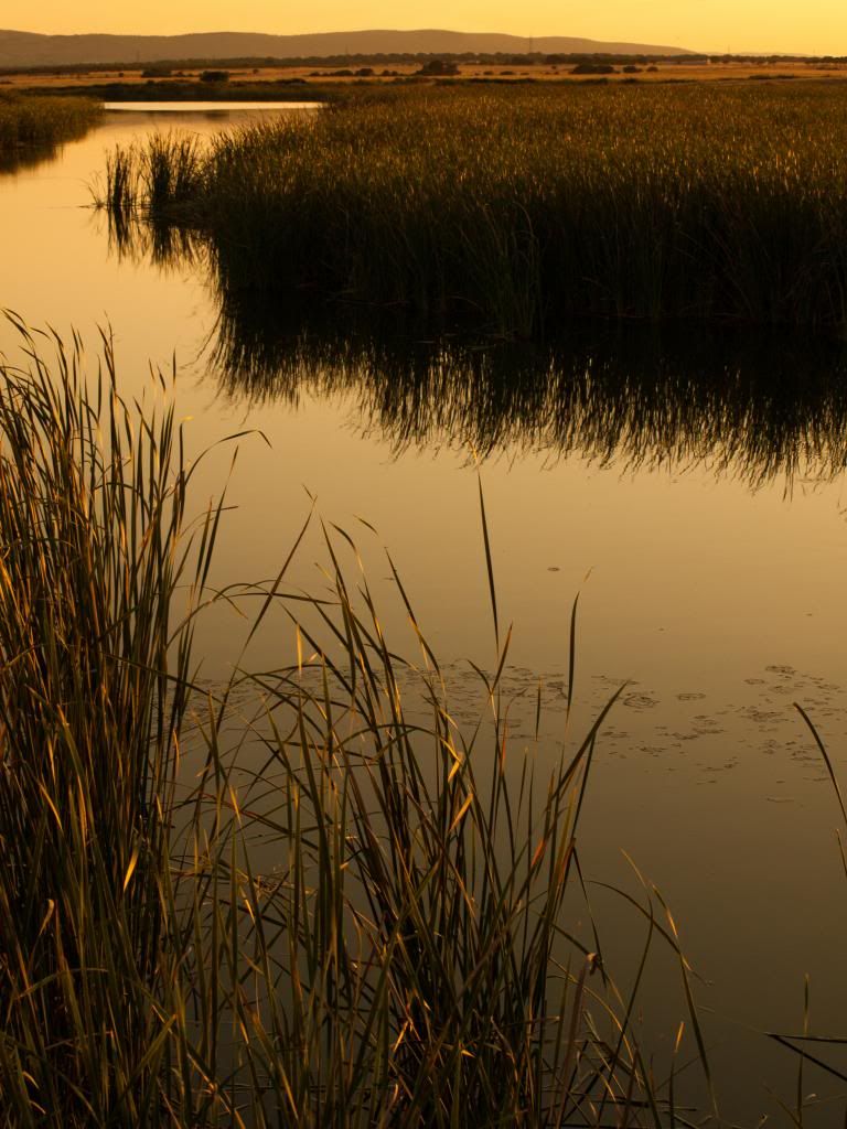 AtardecerenArrocampoc_zps28bb535c.jpg