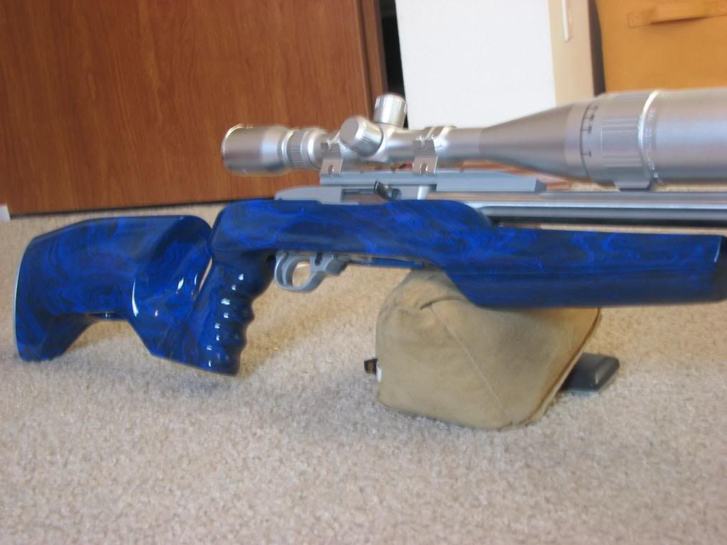 Custom Stock for Ruger 10/22 Rimfire Central Firearm Forum