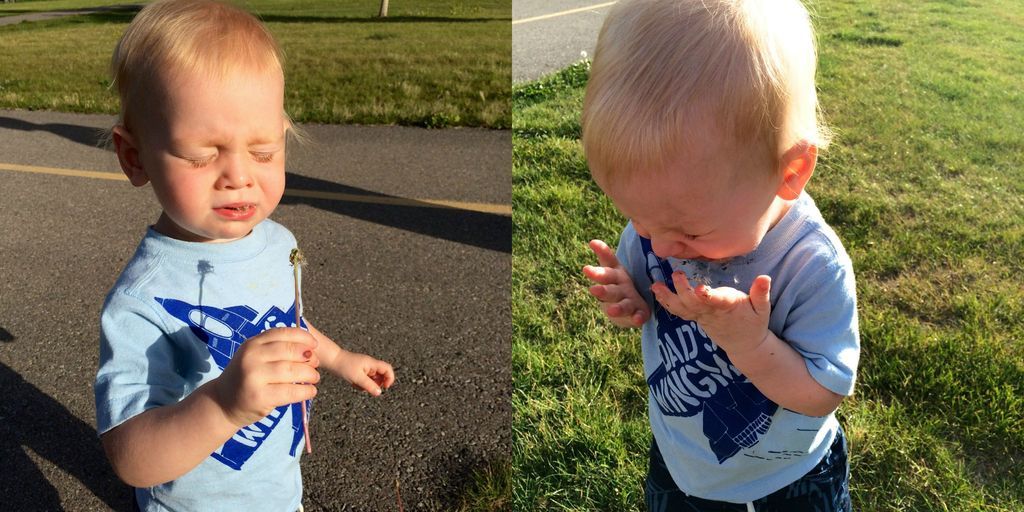 Blowing Dandelions