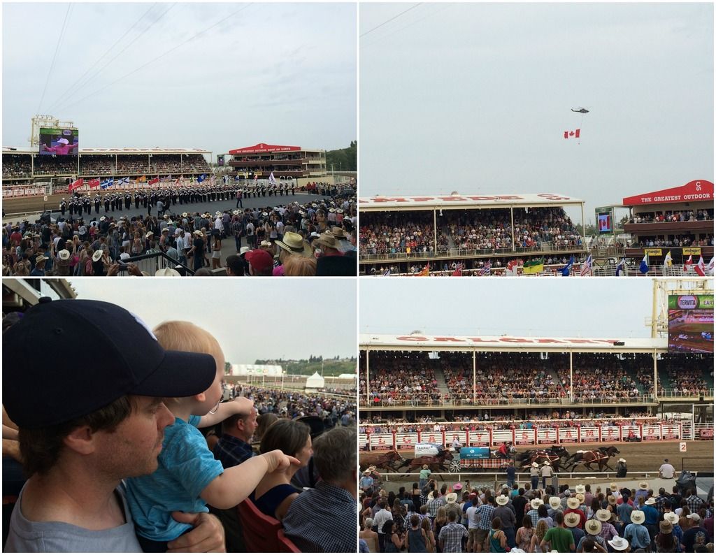 Calgary Stampede Chuck Wagons