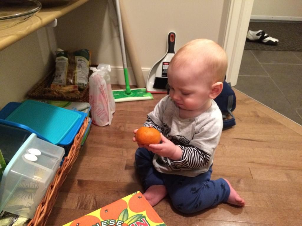 tasting oranges