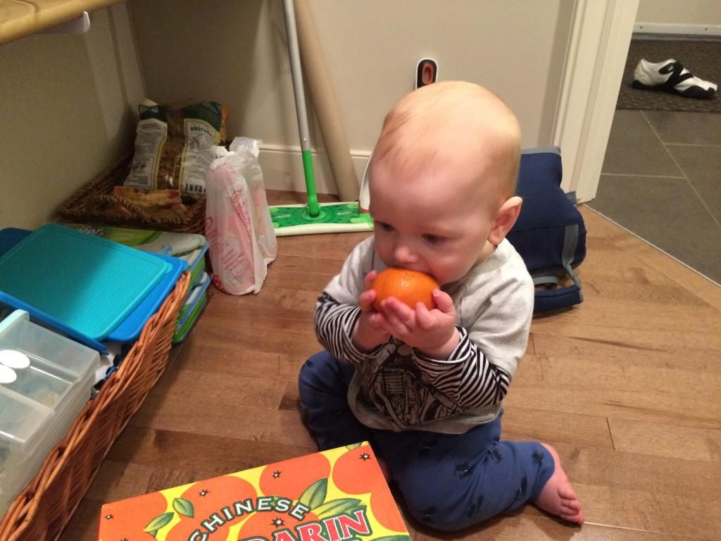 tasting oranges