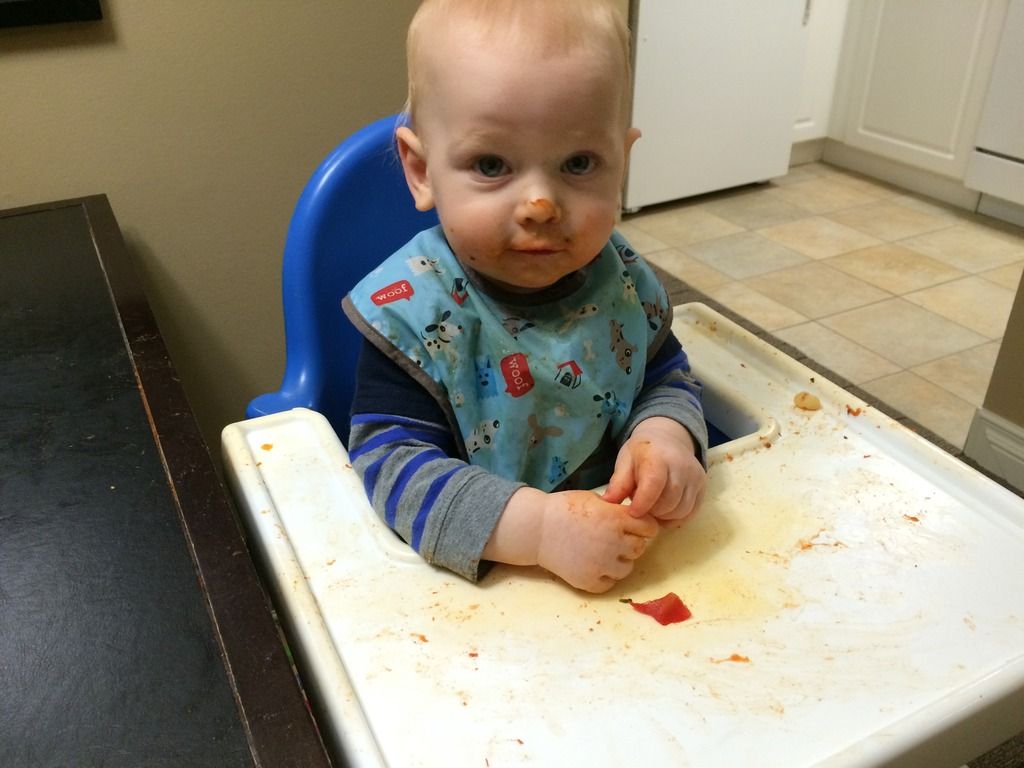 baby led weaning