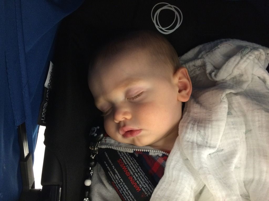 stroller naps