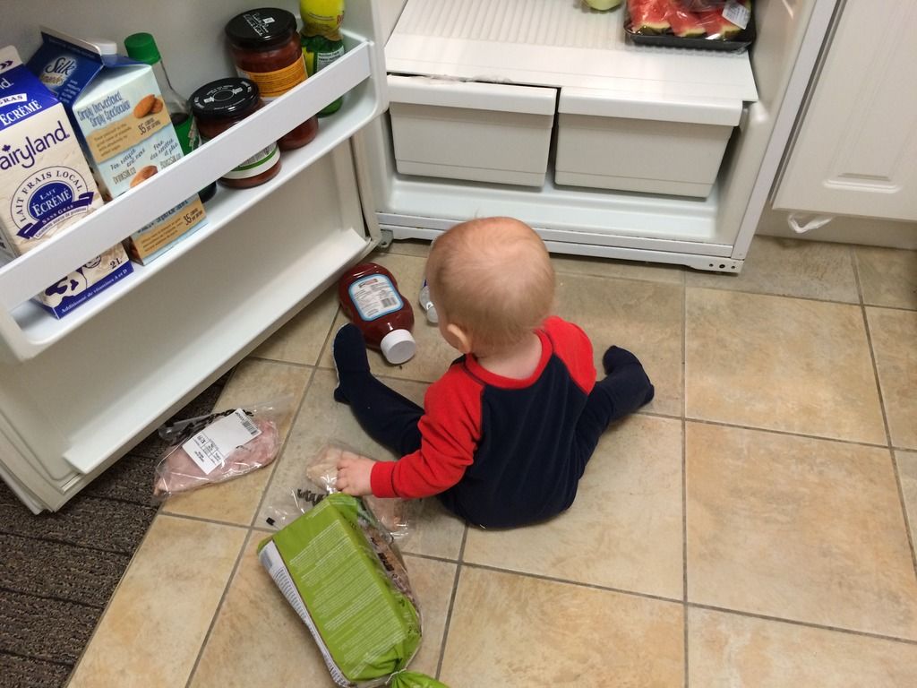 playing in the fridge