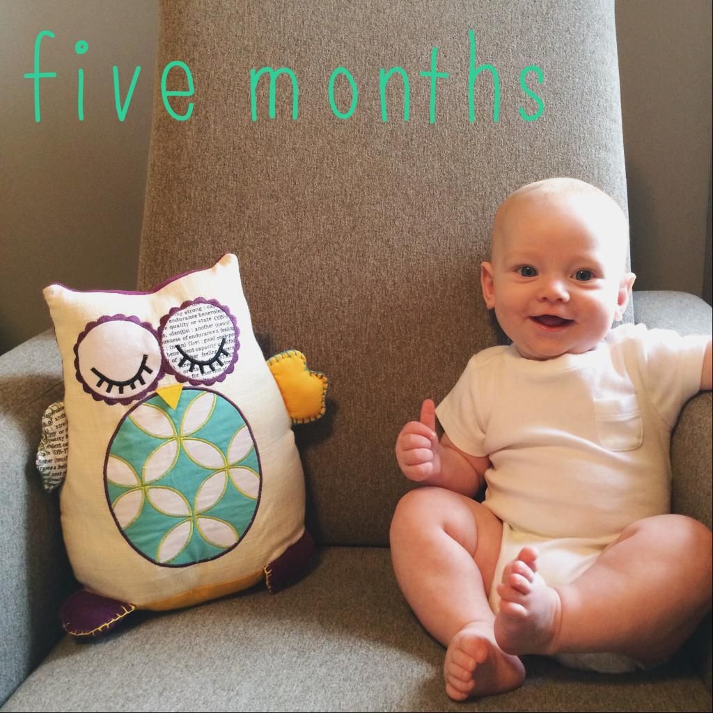 5 months