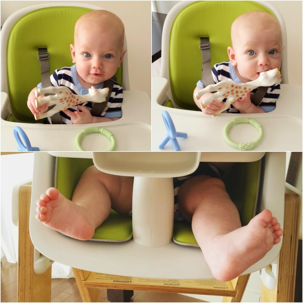 oxotot highchair