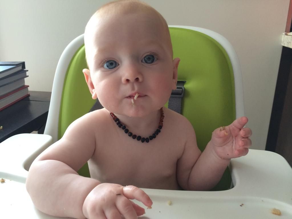 baby led weaning