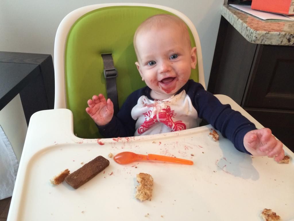 baby led weaning eight months