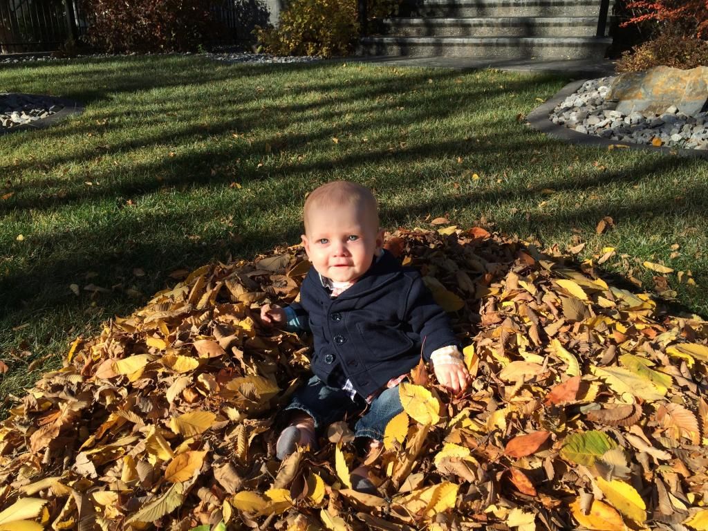 playing in the leaves