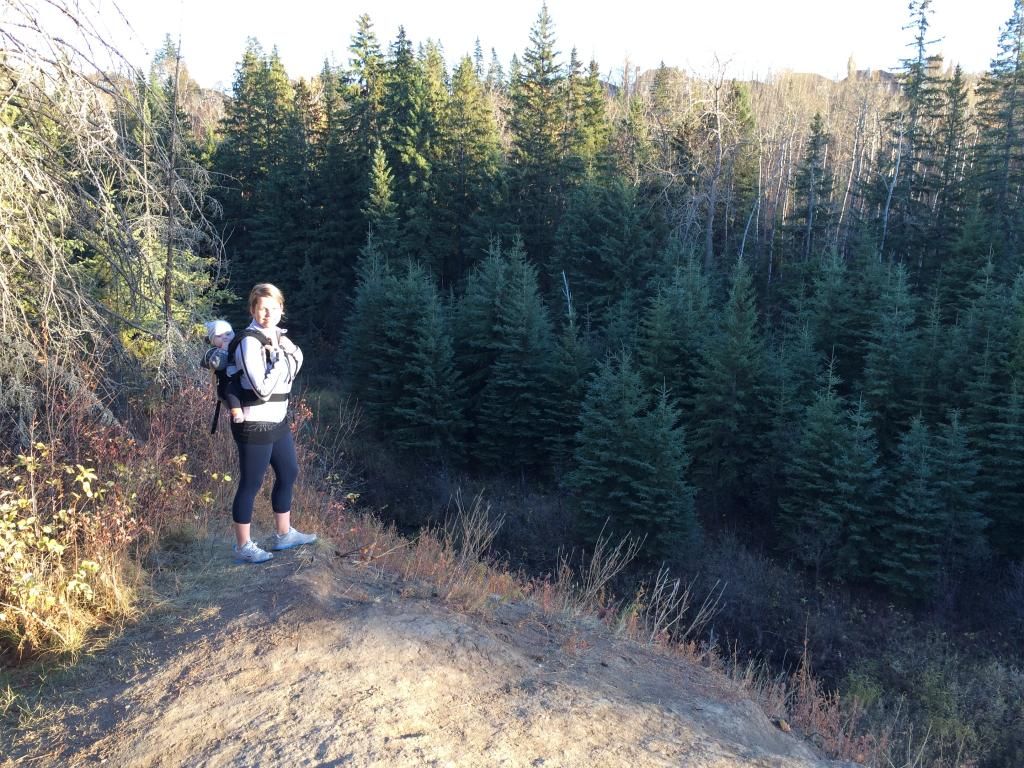 hiking in edmonton