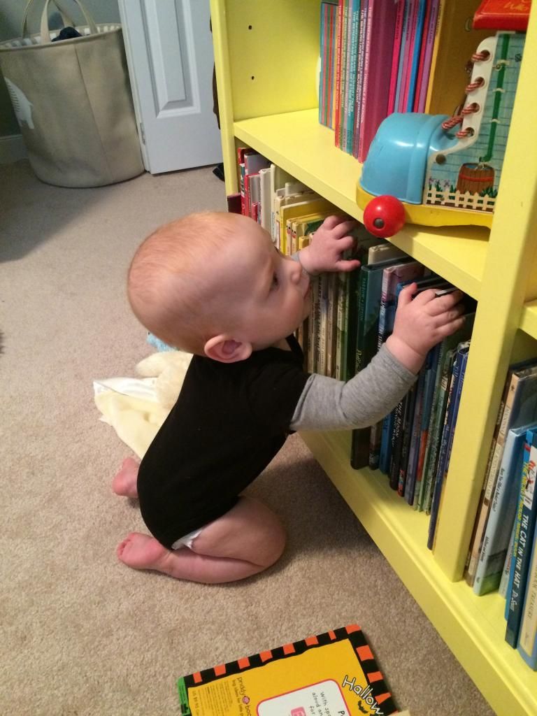 climbing up bookshelves