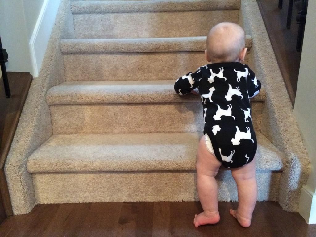 9 month old climbing stairs