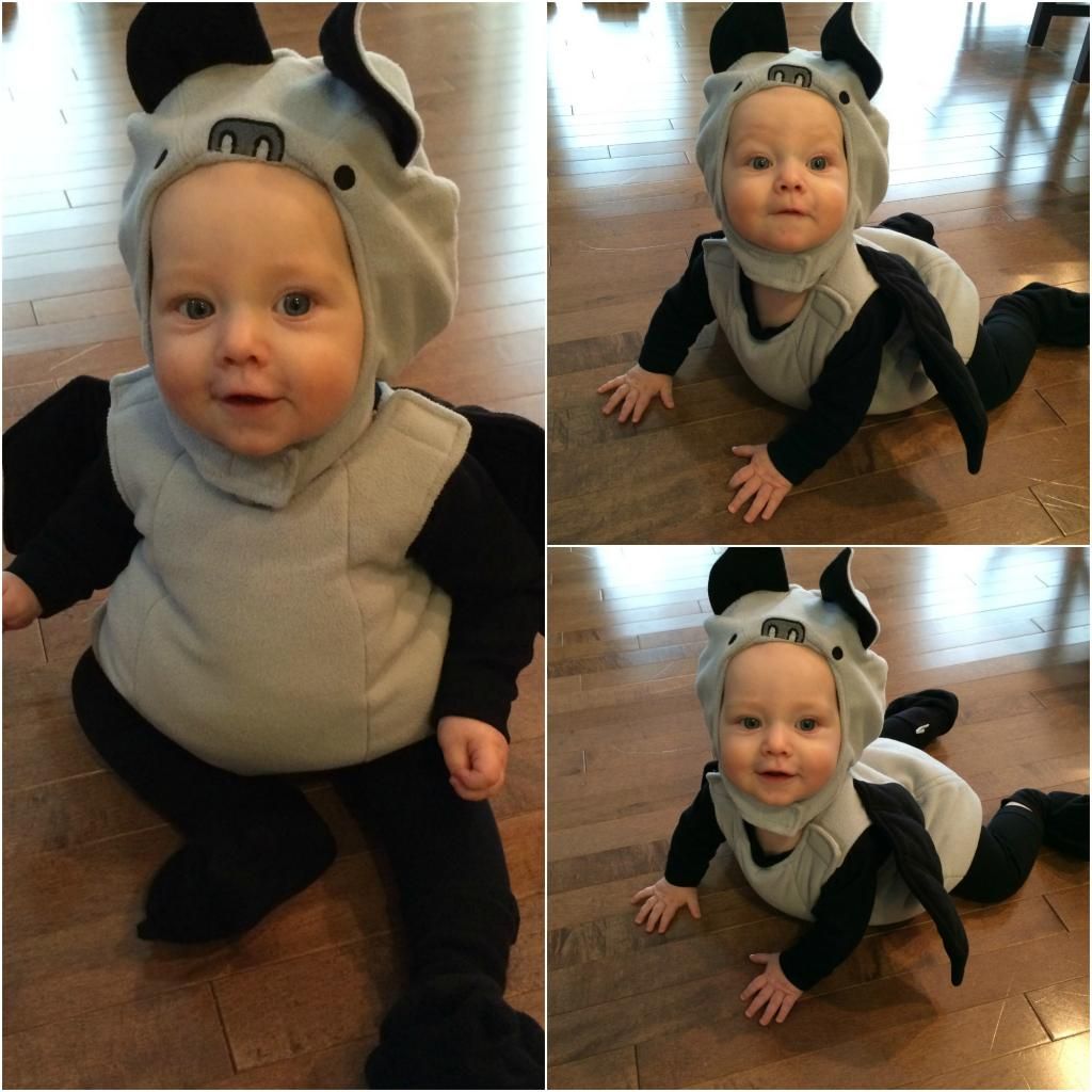 baby bat costume
