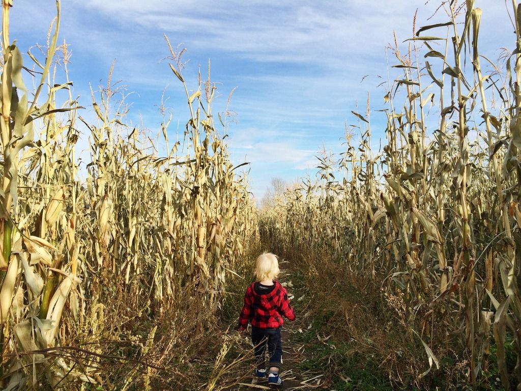 Kayben Farms