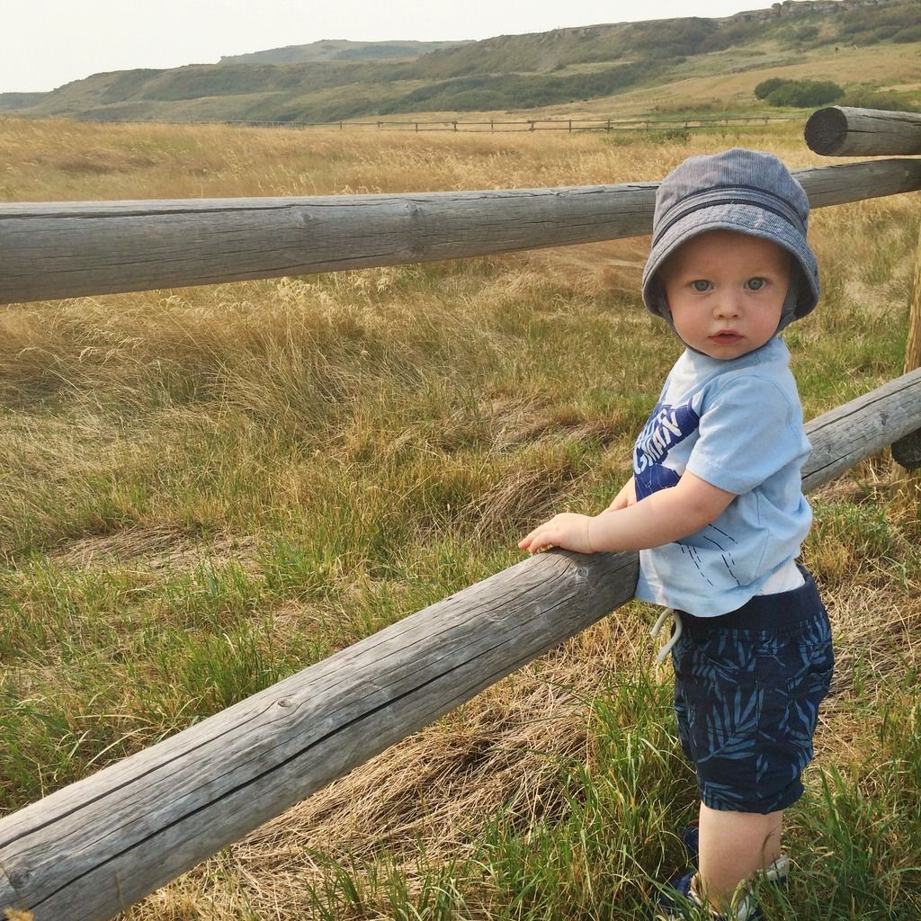 Head-Smashed-In Buffalo Jump