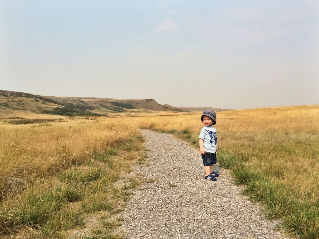 Head-Smashed-In Buffalo Jump