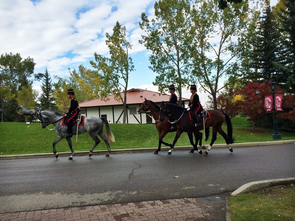 Spruce Meadows