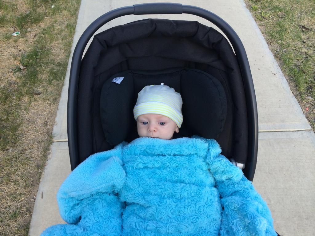 sully in the stroller