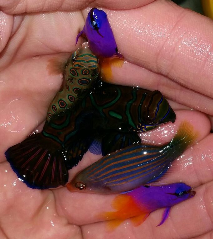 Just What You've Always Wanted! And A Whole lot More!! eBR0 9ac1dLxyECWhXVPP6mNjFIj6aJHklgAo8nE54 zps4jtlf5ei - Just What You've Always Wanted! And A Whole lot More!!