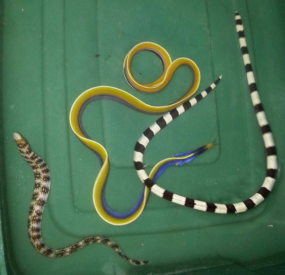 20141114 093317 1 zpstbetpab9 - What!!?? Another Super Sale @ Trop!!!11/14 This weekend only!