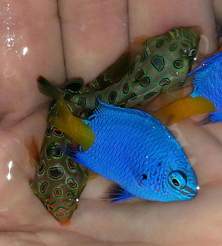 20141114 094156 1 zpswkdshagw - What!!?? Another Super Sale @ Trop!!!11/14 This weekend only!