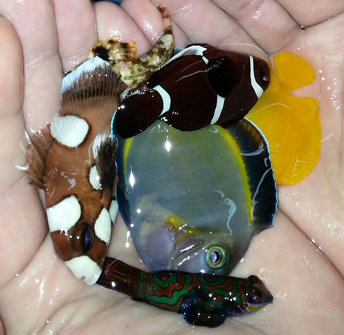 20141114 100857 1 zpsg6rblxap - What!!?? Another Super Sale @ Trop!!!11/14 This weekend only!