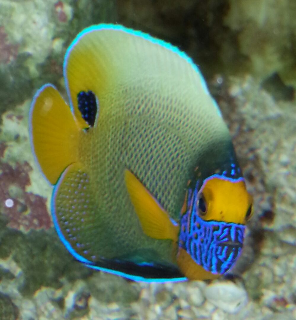 20141114 112002 1 zpsxmbped6a - What!!?? Another Super Sale @ Trop!!!11/14 This weekend only!