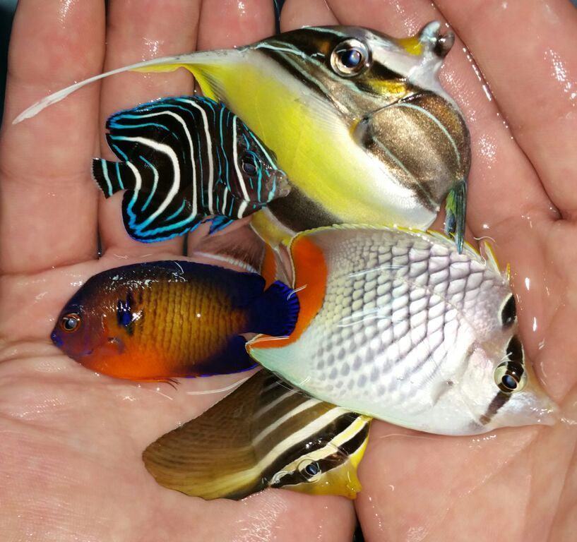 As Always! Best Selection, Best Prices, Best Pics!8/21 6MZ2EApoqZeDMN6vjO b0HSjMSrn2yTtPRsg4JlHO1I zpsbewbykpq - As Always! Best Selection, Best Prices, Best Pics!8/21