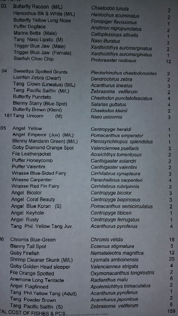unspecified zpssrs18df8 - Merry Christmas!!! New Fish Coming In Today!! Coral Pics Too!