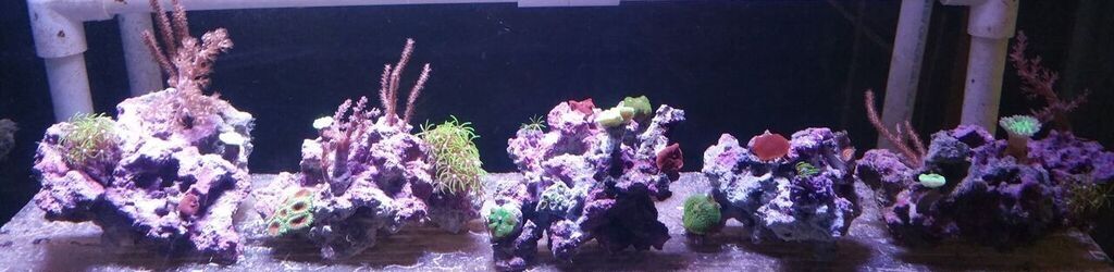 960da076 f894 4582 bc45 b05ce4d3ba8b zps28pukoxp - Fresh Combo Rocks For The Holidays!!!