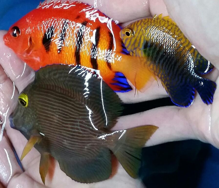 Just What You've Always Wanted! And A Whole lot More!! u5yYvph WiMkpTbYYC35N 4NytAv8Gsoc8PS0vwvEUI zps9i3thb4b - Just What You've Always Wanted! And A Whole lot More!!