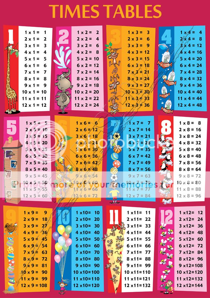 Animal Times Table Poster A1 A2 A3 A4 All Sizes Education School ...