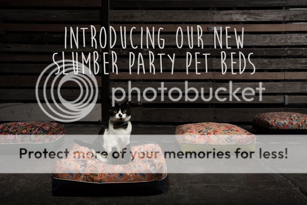 Sweet Pickles Designs